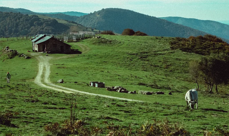 Hero shot for Tom's blog post